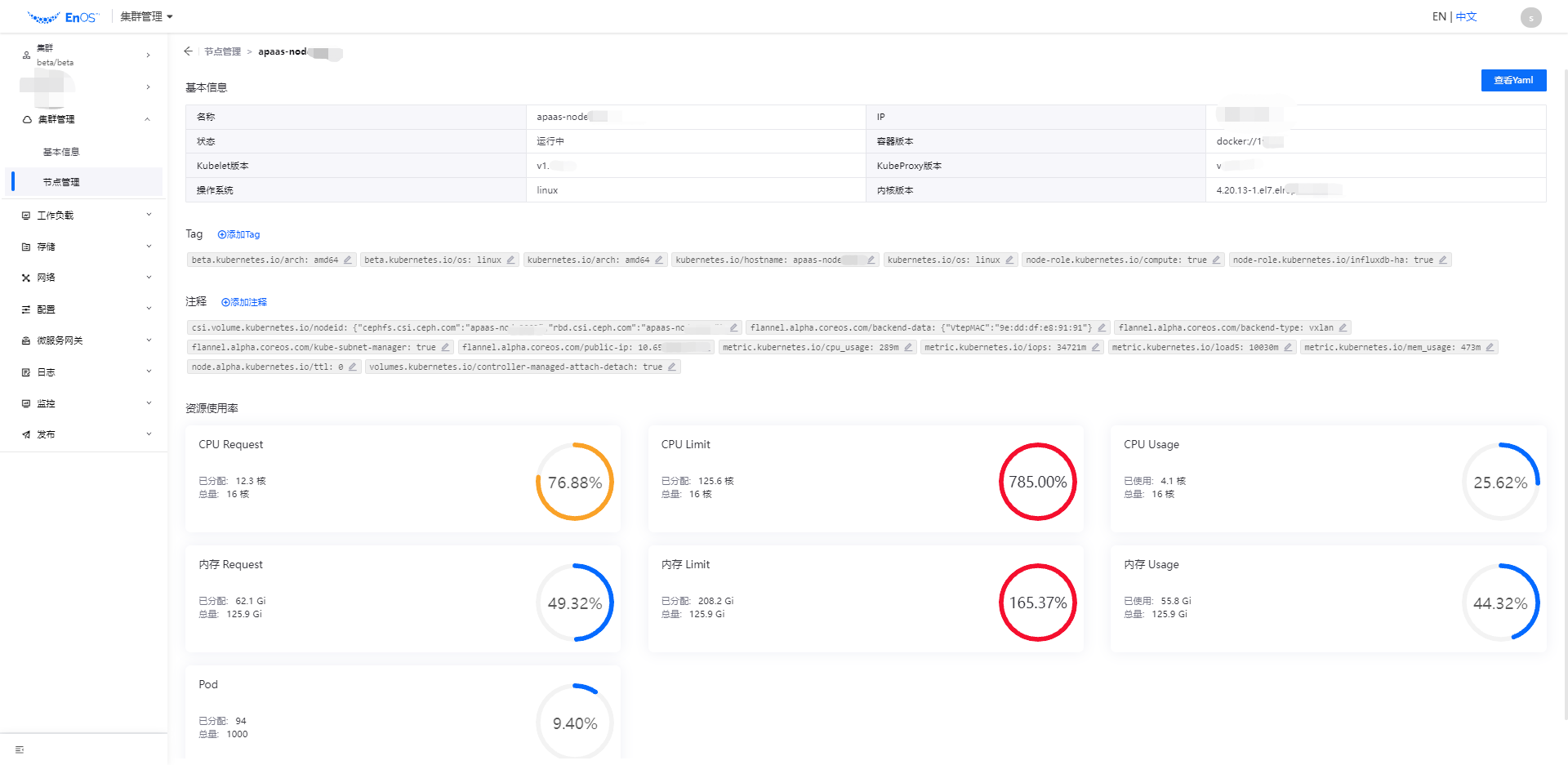 ../../_images/cluster_node_details.png